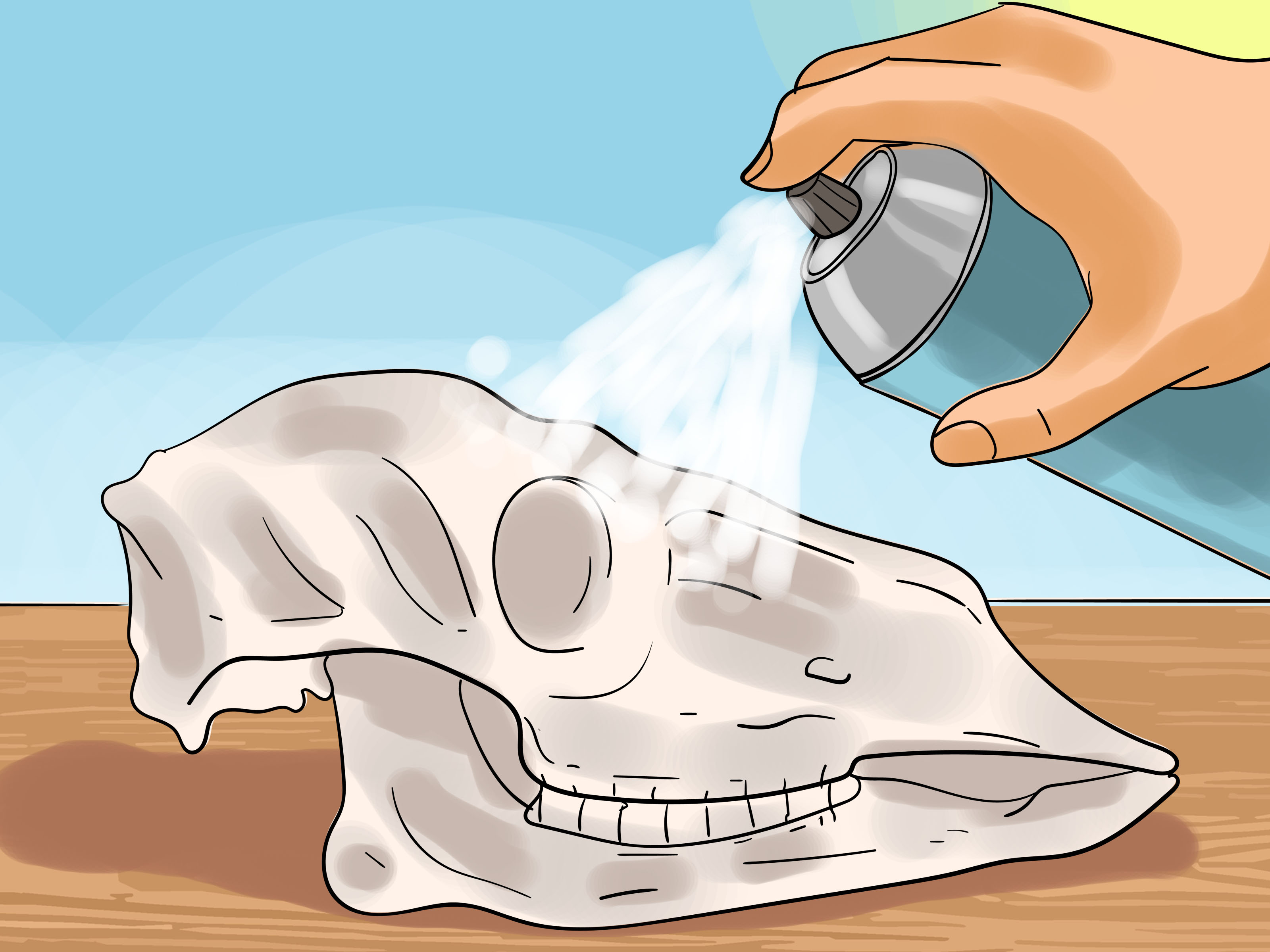 Image Titled Preserve A Skull Step - Como Decorar Un Craneo De Vaca - HD Wallpaper 