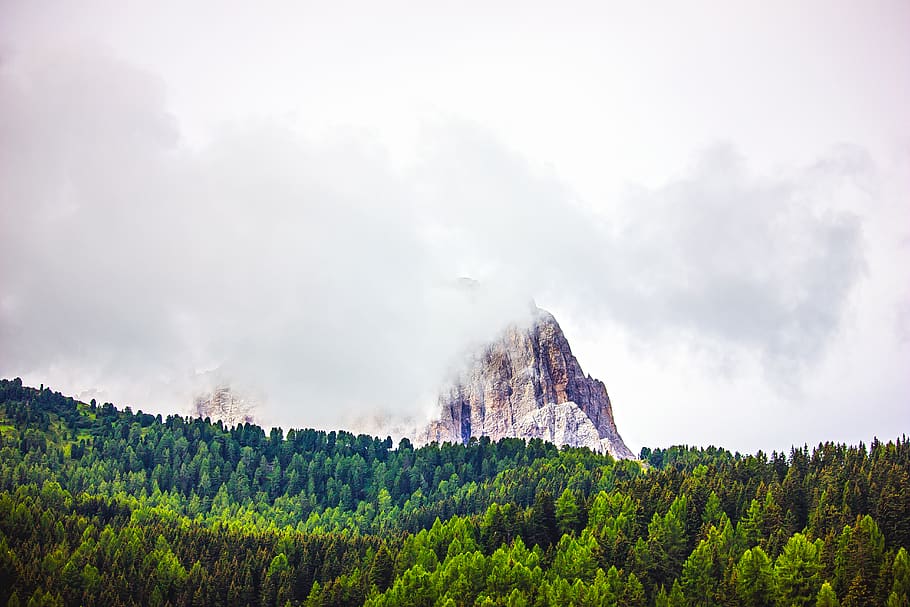 Italy, Selva Di Val Gardena, Montagne, Italia, Dolomites, - Shortleaf Black Spruce - HD Wallpaper 