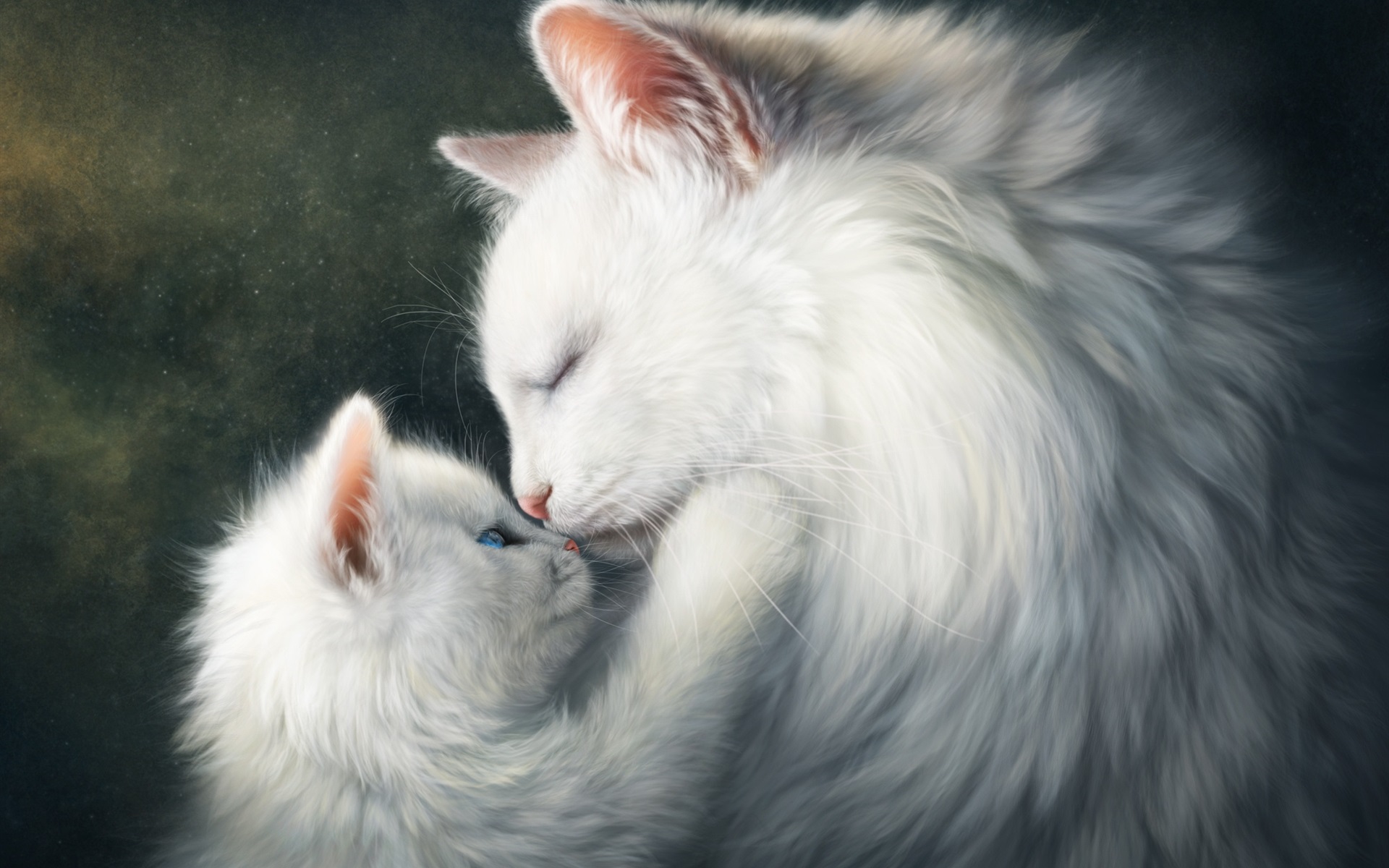 Wallpaper White Cats, Mom And Kitten - Love Cat Images Hd - HD Wallpaper 