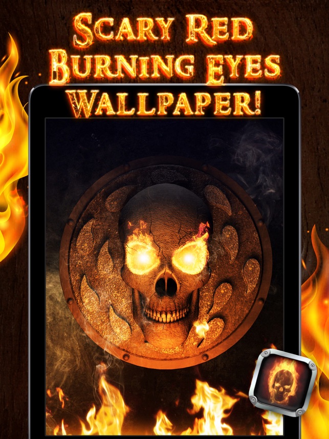 Wallpaper - HD Wallpaper 