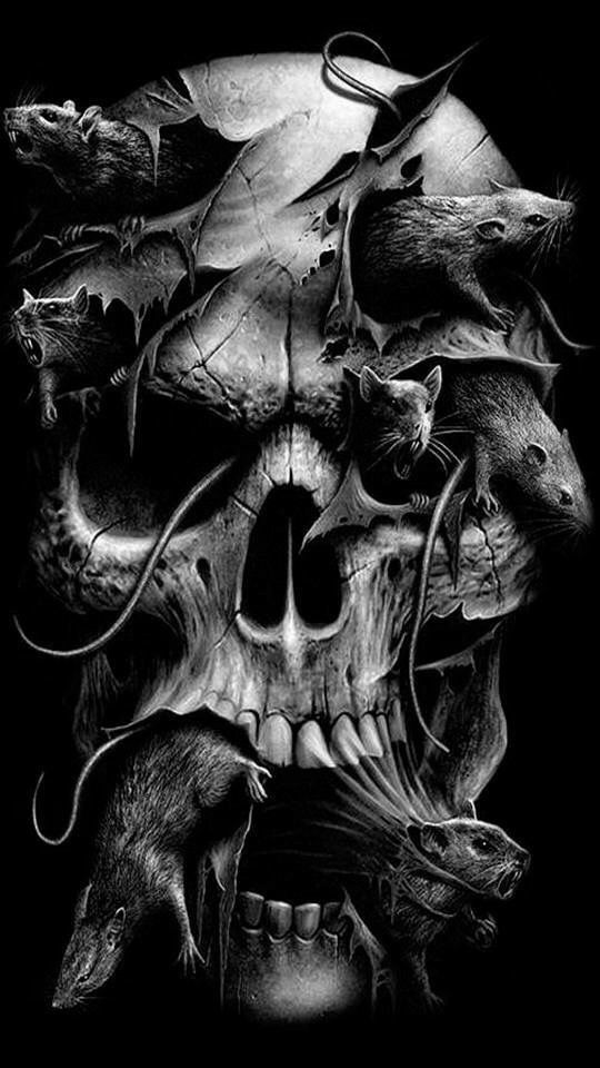 Tatouage Tete De Mort Morbide - HD Wallpaper 