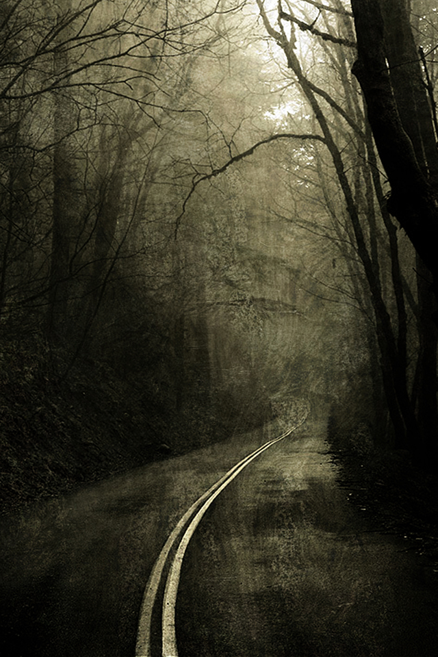 Scary Forest Wallpaper - Creepy Iphone Wallpaper Hd - 640x960 Wallpaper -  