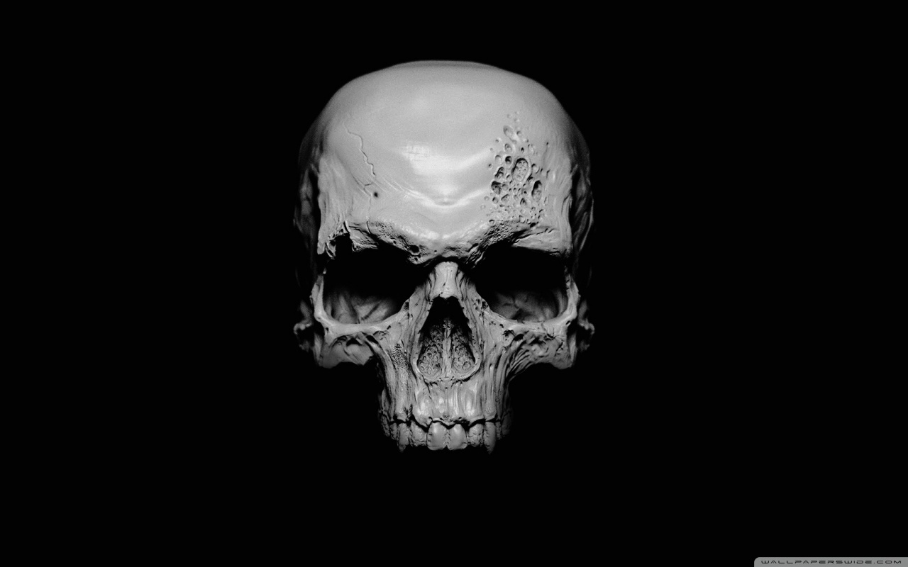 Screaming Skull Photography - HD Wallpaper 