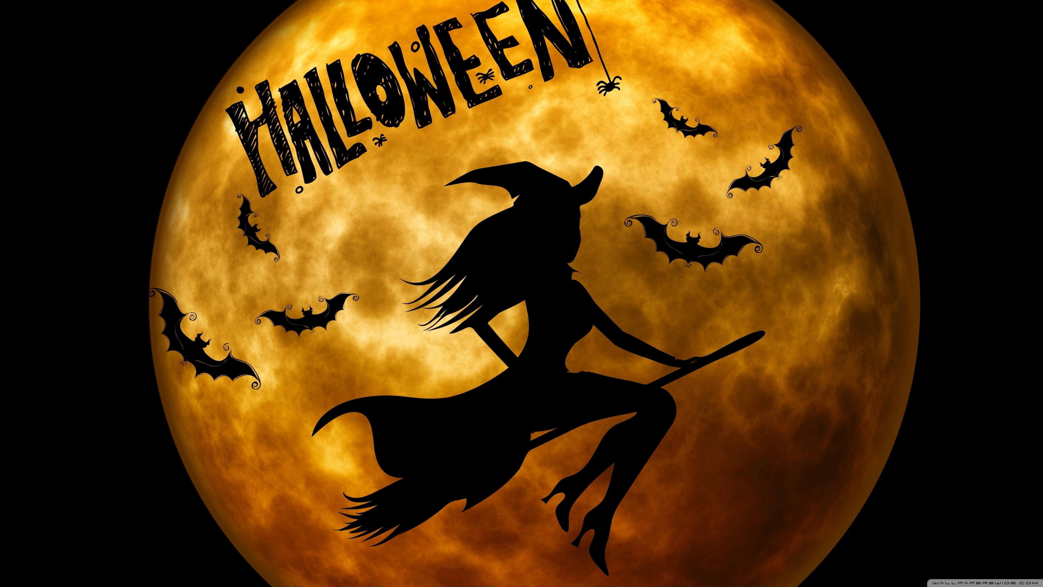 Halloween Witch Wallpaper Hd - HD Wallpaper 