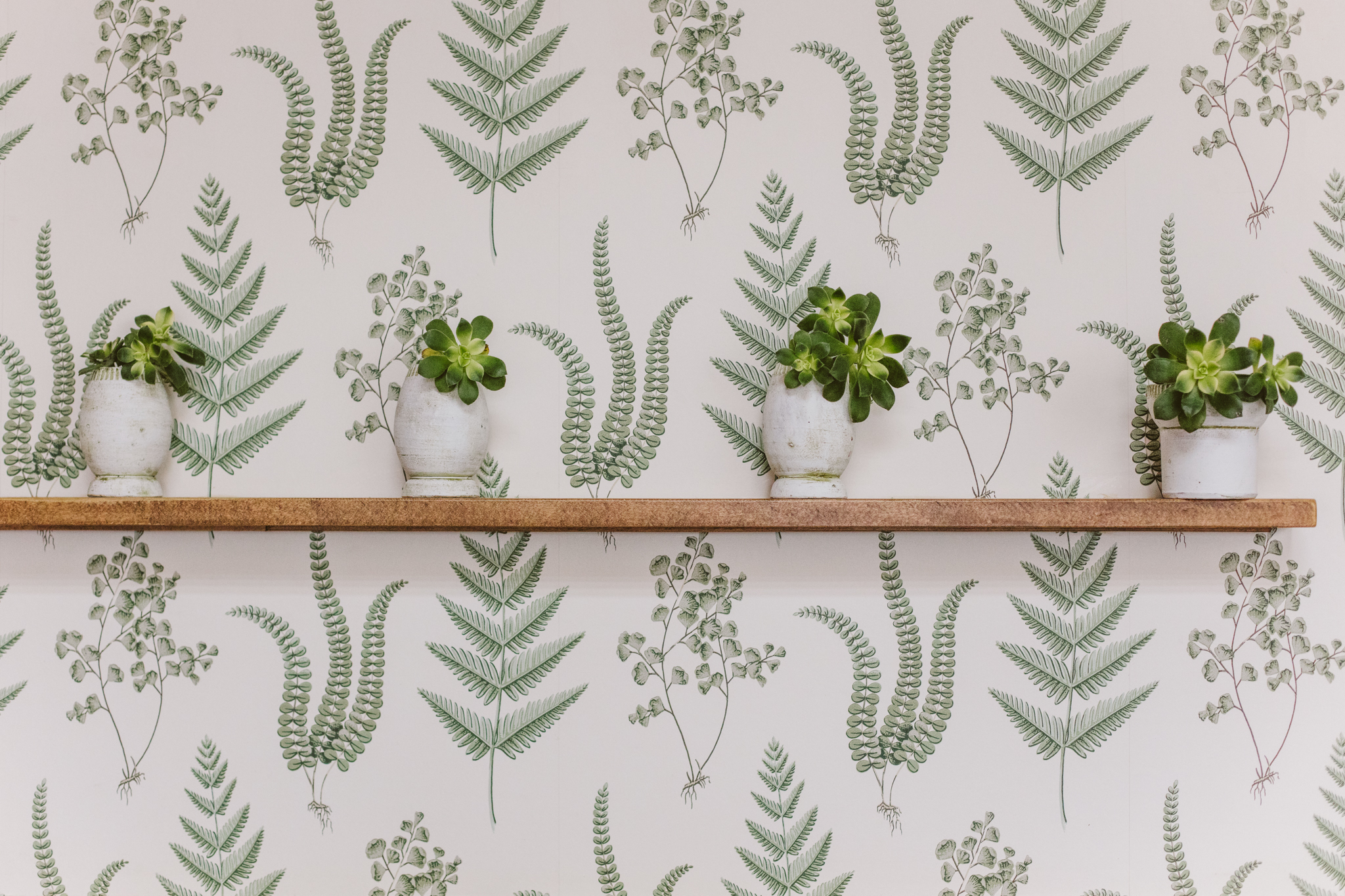 Boråstapeter Herba - HD Wallpaper 