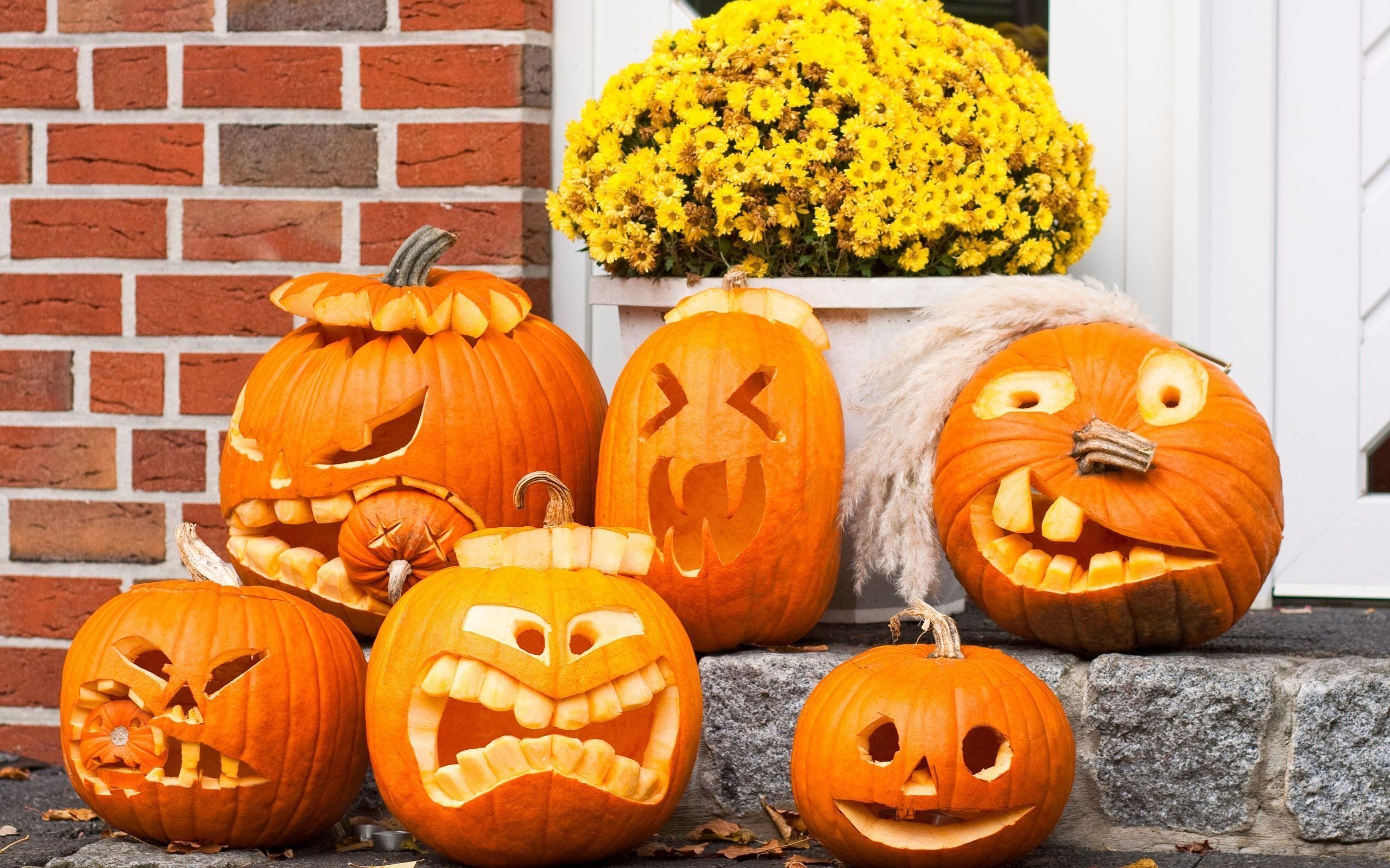 2560x1600, Funny Halloween Wallpaper 1 
 Data Id 280413 - Funny Halloween Pumpkins - HD Wallpaper 