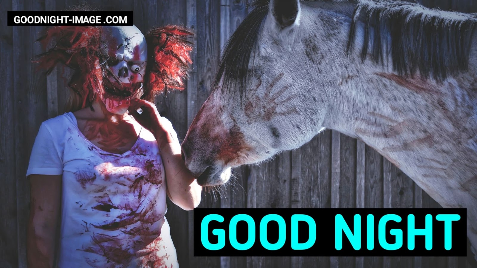 Horror Good Night Hd - Horse - HD Wallpaper 