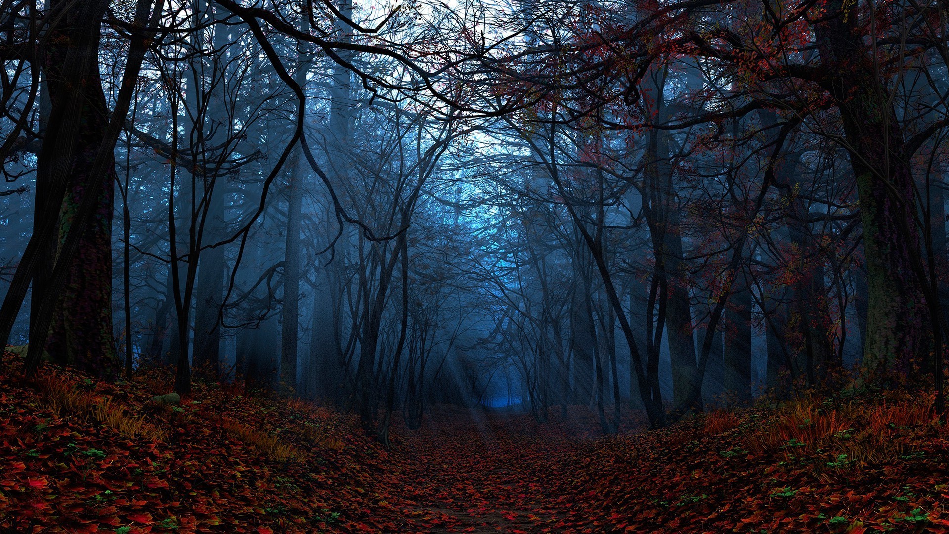 Forest Wallpaper Hd For Pc - HD Wallpaper 