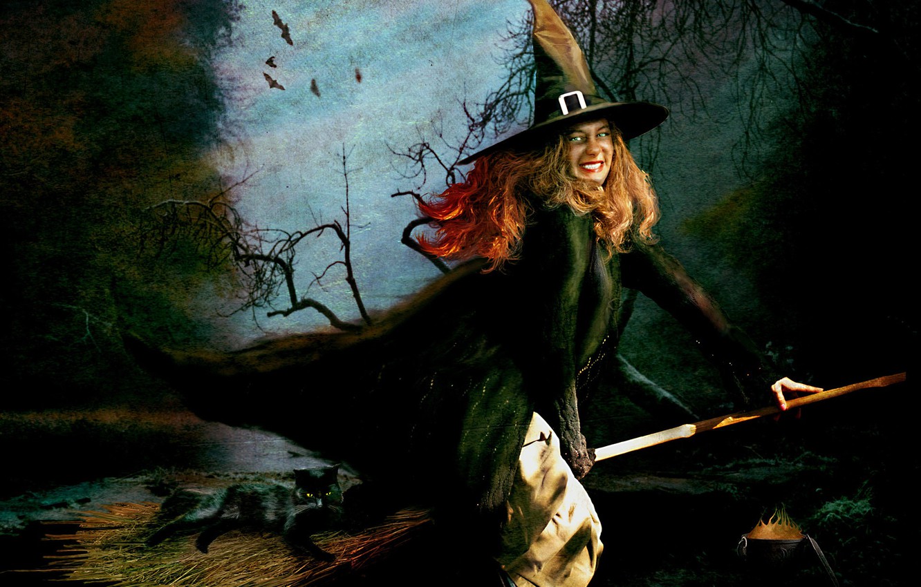 Photo Wallpaper Halloween, Witch, Broom, Black Cat - Halloween Cat Desktop Witch - HD Wallpaper 