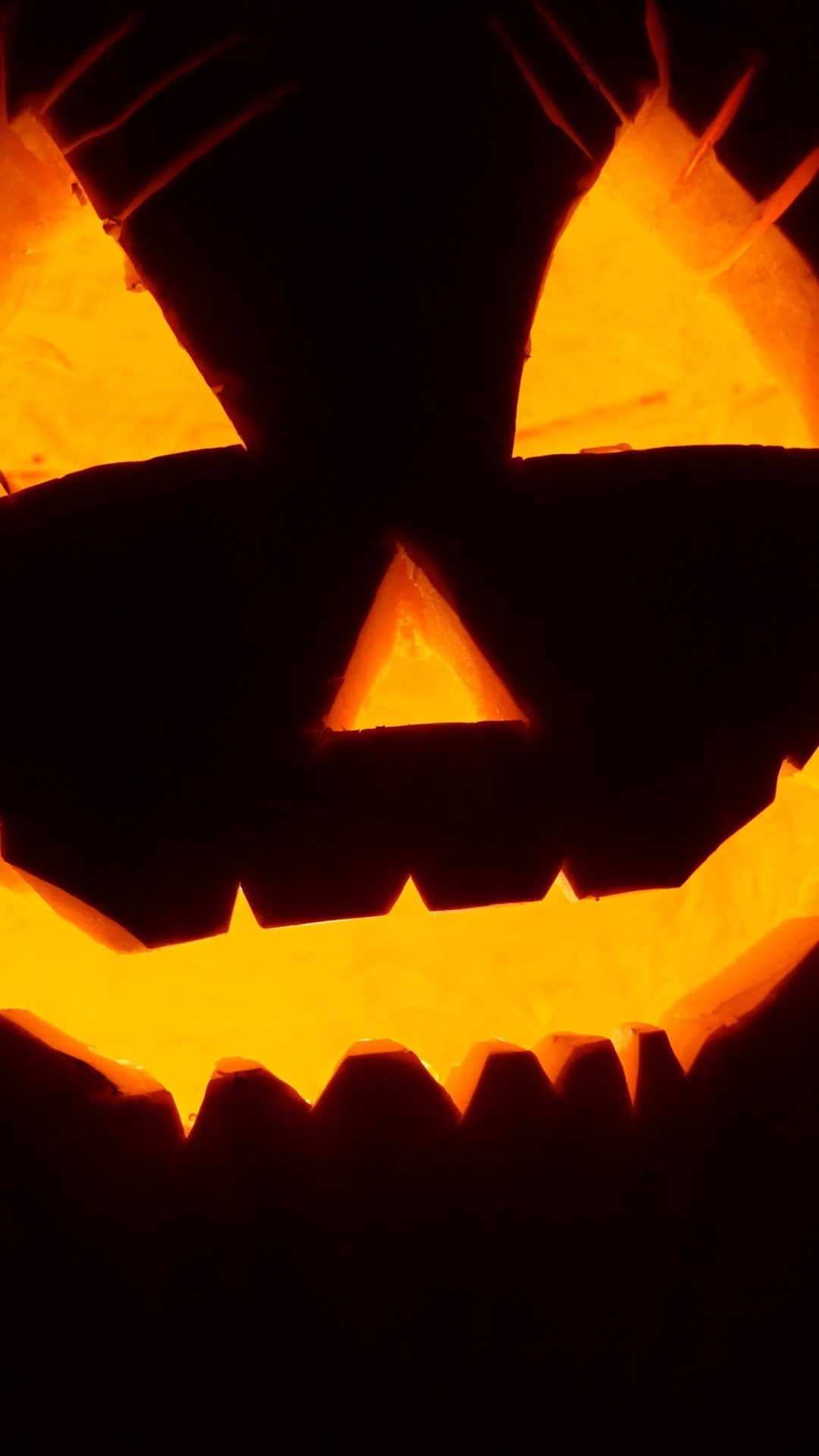 Black Cats Prowl And Pumpkins Gleam May Luck Be Yours - HD Wallpaper 