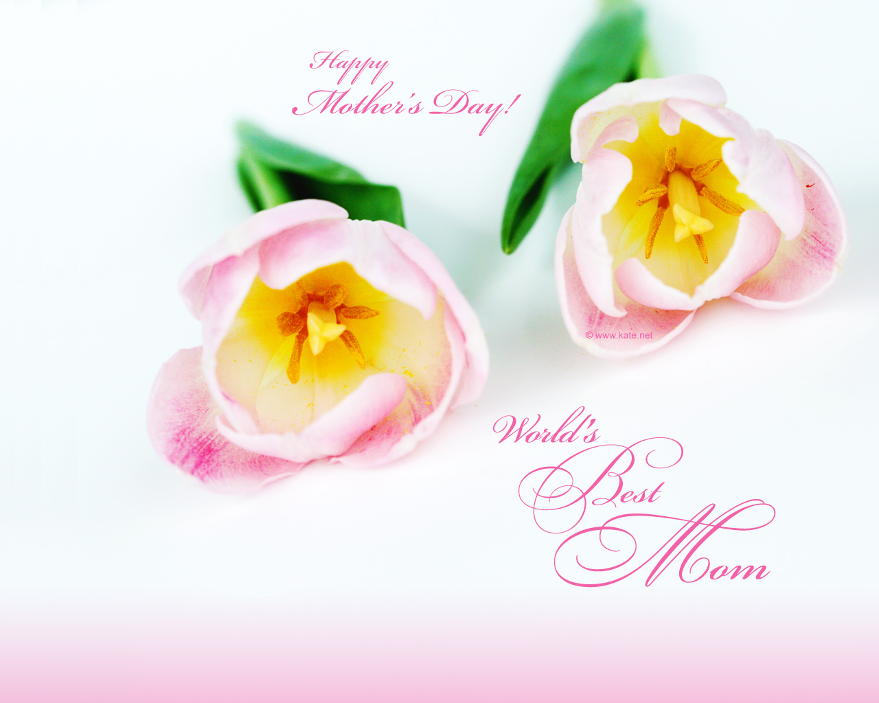 Free Mothers Day Wallpapers - Father Day Photo Download - HD Wallpaper 