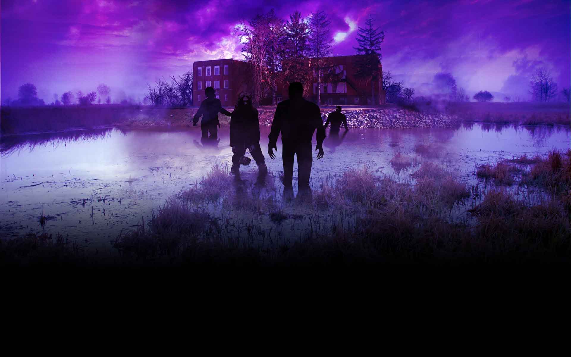 Reflection - HD Wallpaper 