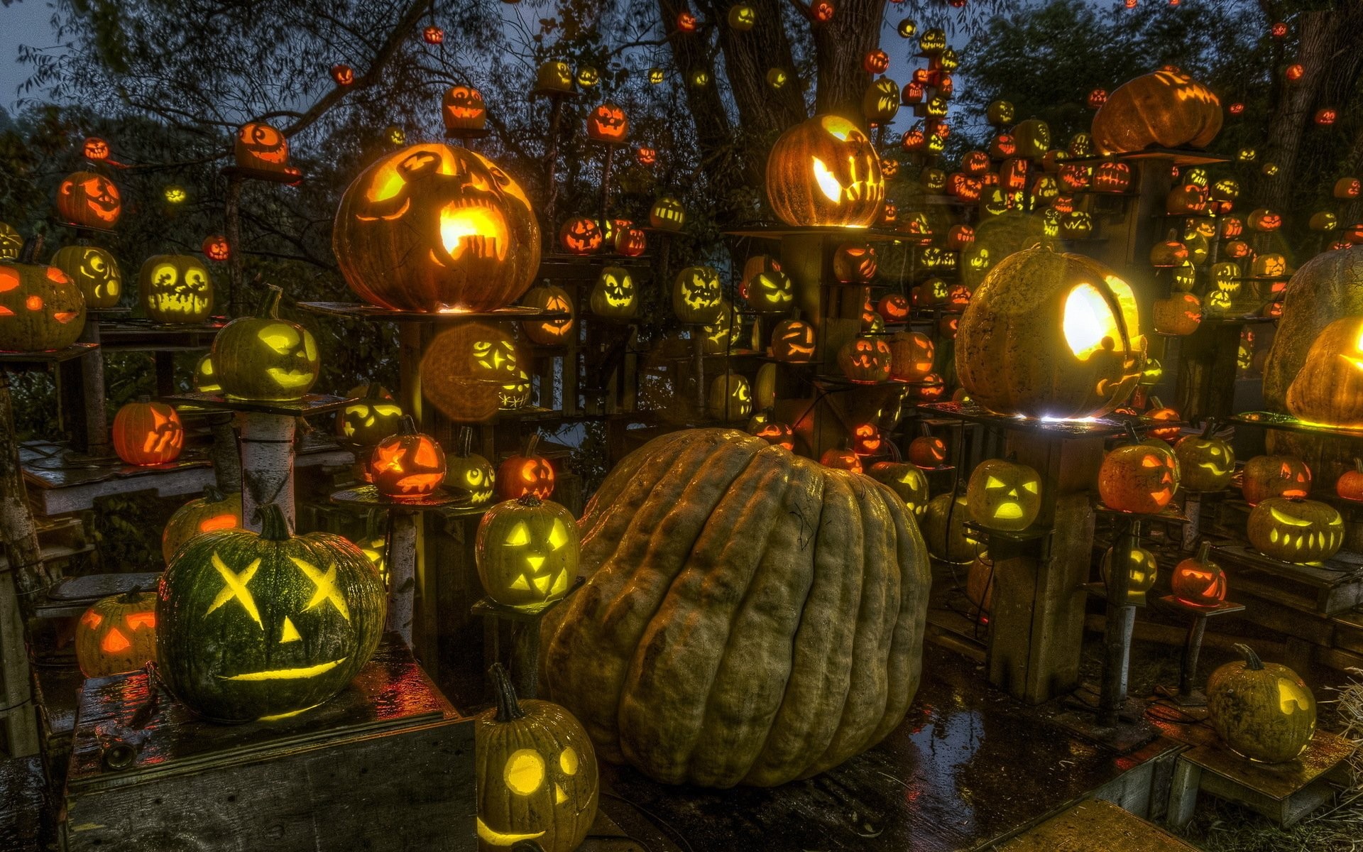 , Halloween Wallpapers,halloween, Amazing, Cool Images, - Halloween Pumpkins And Witches - HD Wallpaper 