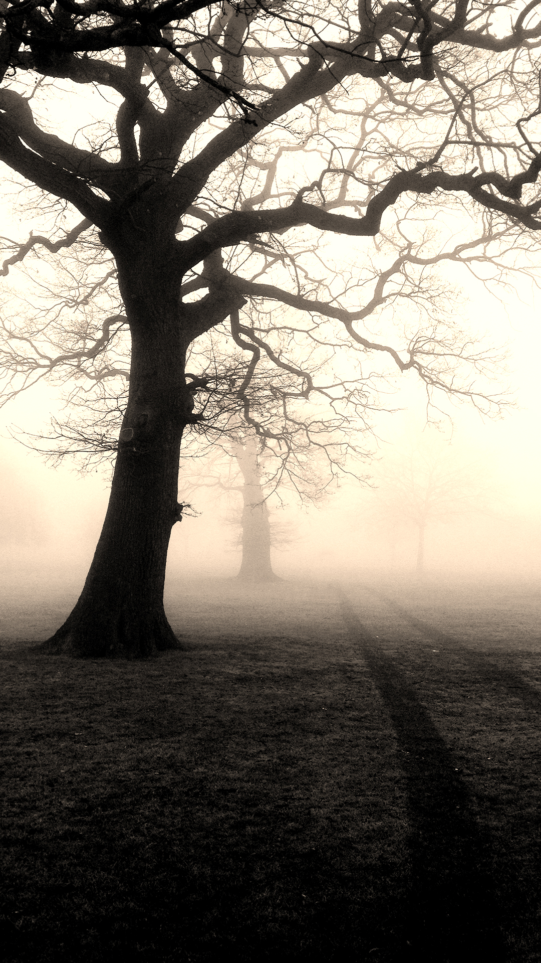 Creepy Phone Wallpapers Hd - HD Wallpaper 