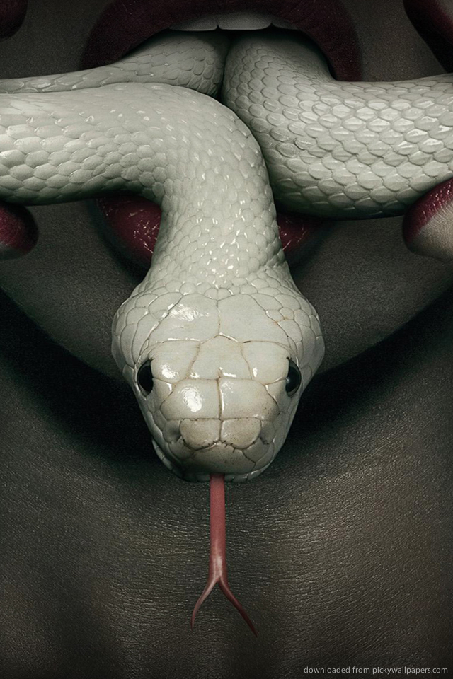 American Horror Story Coven Snake - HD Wallpaper 