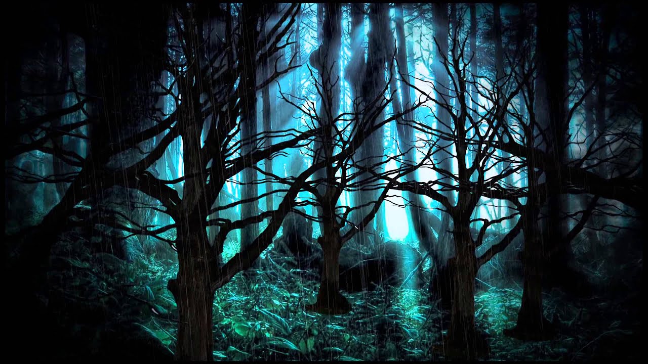 Beautiful Dark Forest Background - HD Wallpaper 