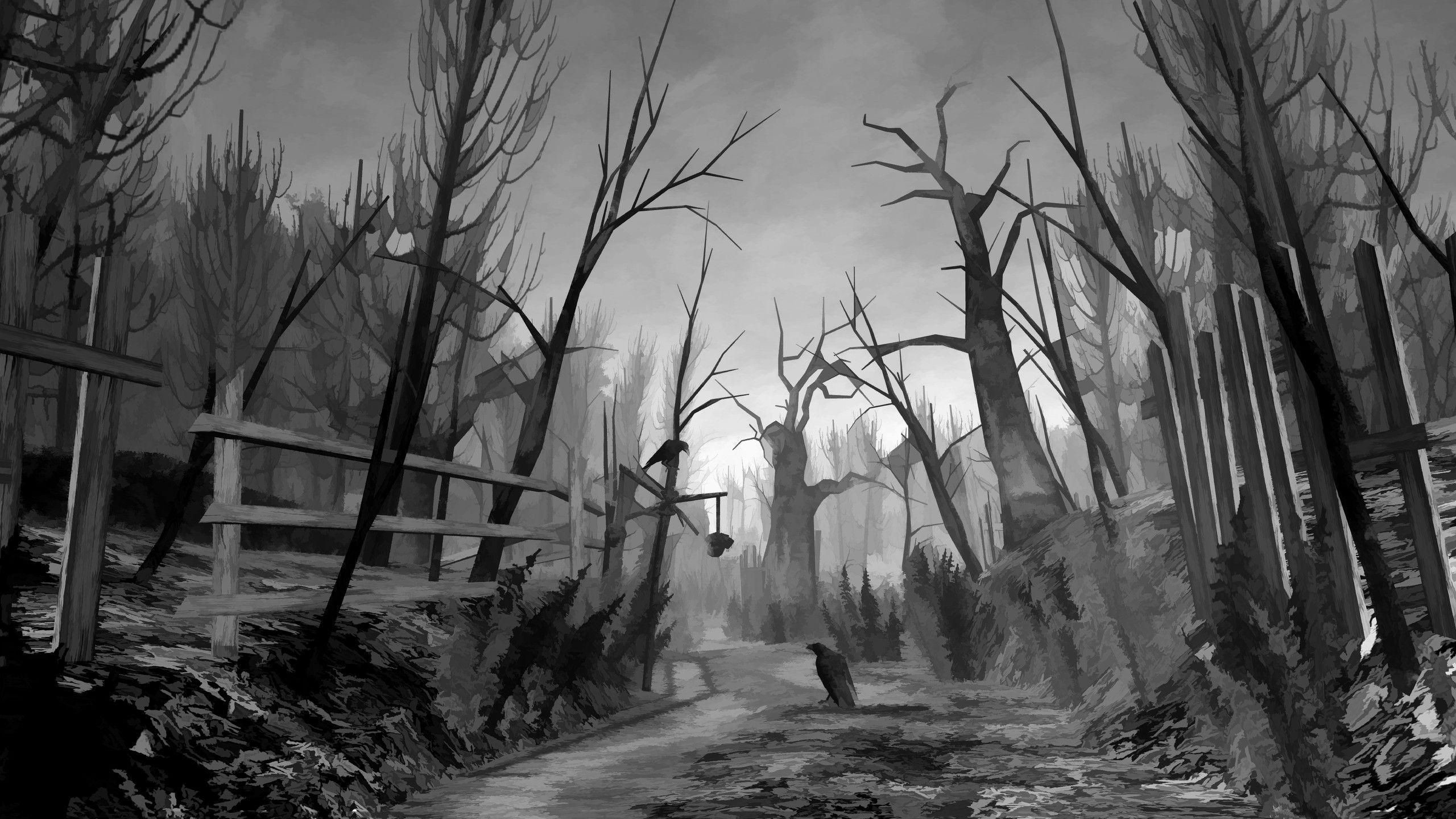 2560x1440, Scary Backgrounds Wallpaper 2560ã1440 Creepy - Creepy Forest Background Hd - HD Wallpaper 