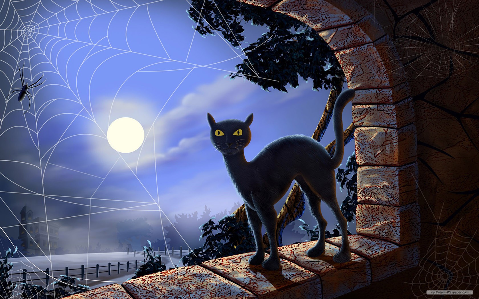Free Holiday Wallpaper - Desktop Wallpaper Halloween Cat - HD Wallpaper 