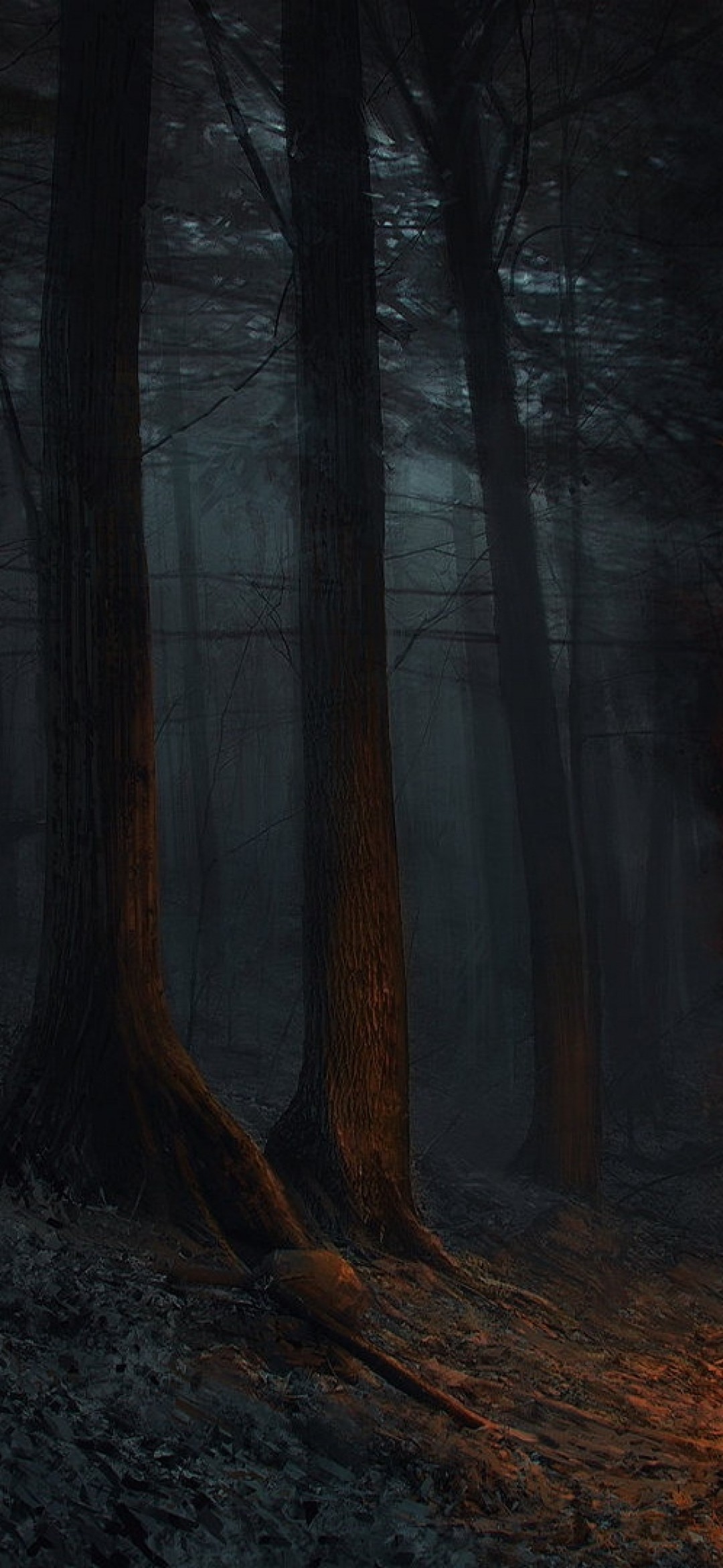 Fantasy Woman, Flames, Forest, Dark, Scary - Grove - 1080x2340 Wallpaper - Fantasy Woman, Flames, Forest, Dark, Scary - Grove - 1080x2340 Wallpaper -