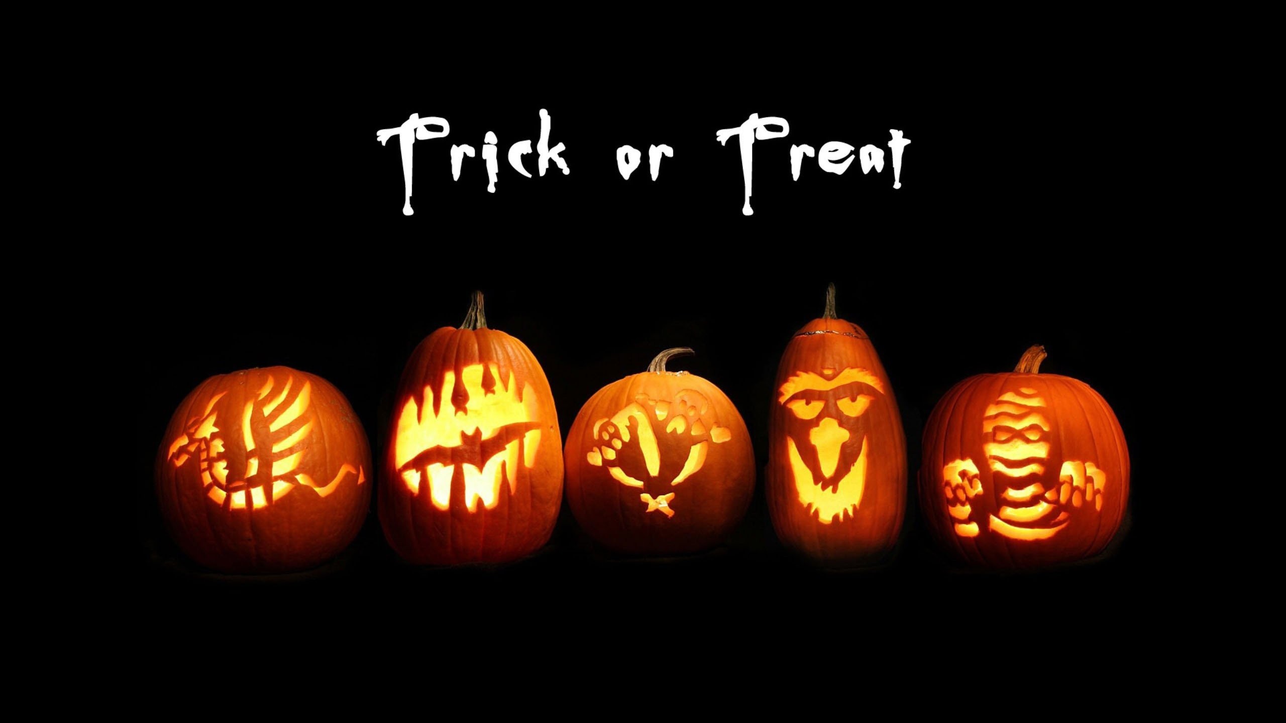 Funny Halloween Pumpkins Wallpaper Sayings 
 Data-src - Jack O Lanterns Hd - HD Wallpaper 