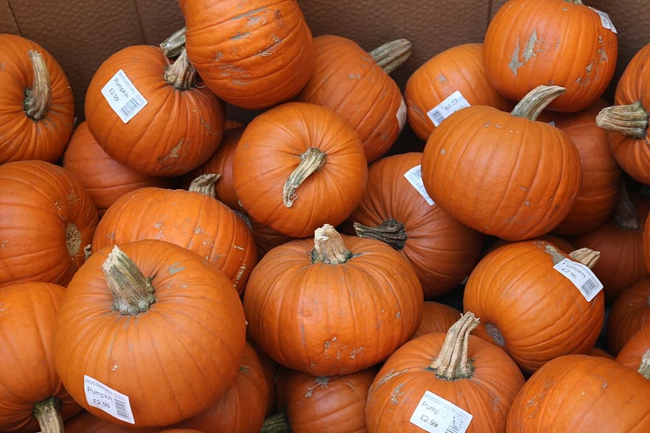 Pumpkins, Food, Orange, Vegetable, Autumn, Fall, Halloween, - Pumpkin - HD Wallpaper 