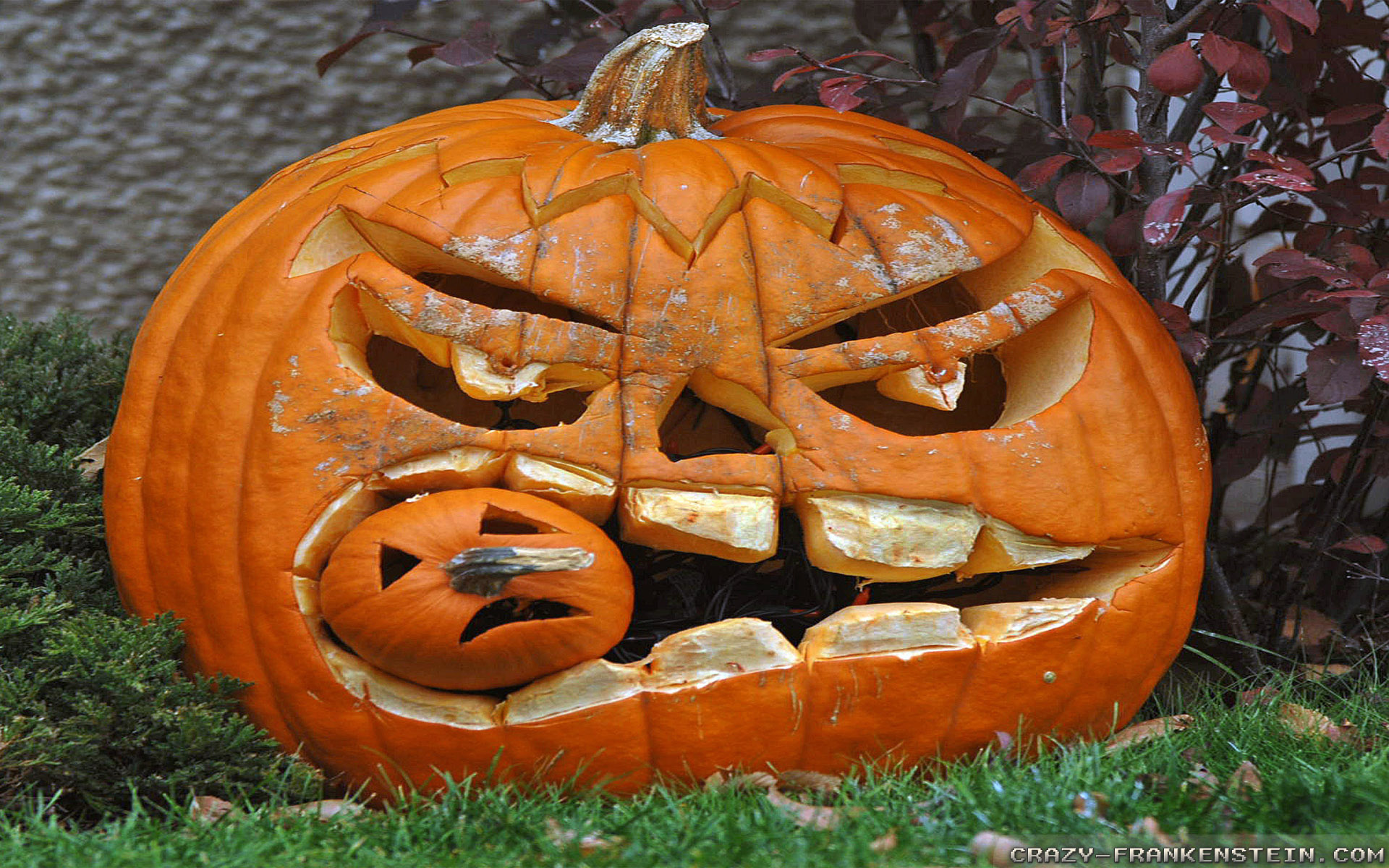 Pumpkin Eating Smaller Pumpkin - HD Wallpaper 