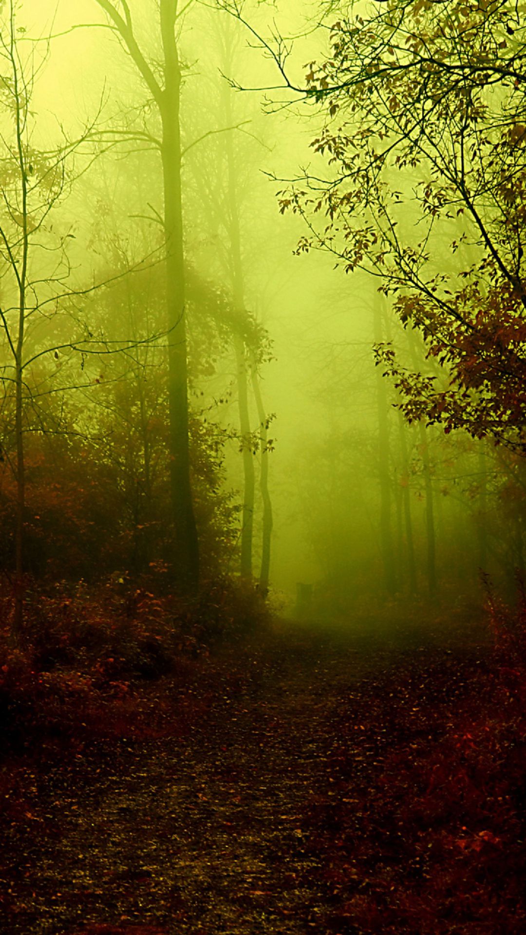 Desktop Wallpaper Dark Forest 4k - 1080x1920 Wallpaper Desktop Wallpaper Dark Forest 4k - 1080x1920 Wallpaper