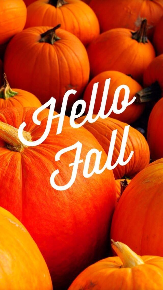 Hello Fall Backgrounds - HD Wallpaper 