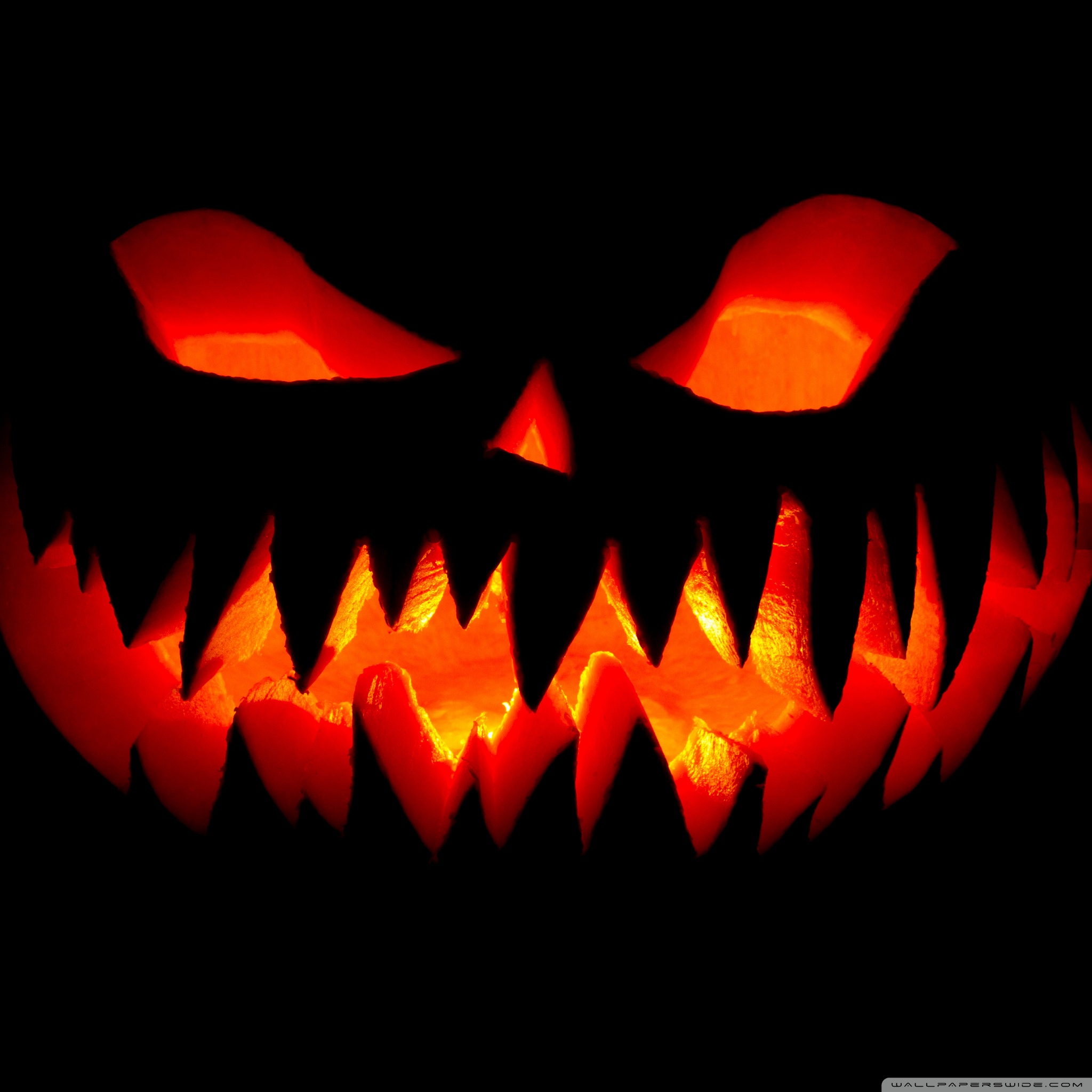 Halloween 4k Background - HD Wallpaper 