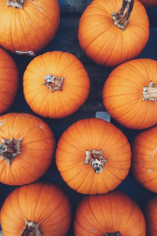 Pumpkin Patch Wallpaper Vsco Laurenjacksn Photo Ideas - Girls Fall Backgrounds - HD Wallpaper 
