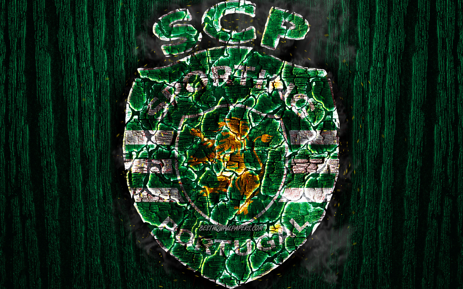 Sporting Cp, Scorched Logo, Primeira Liga, Green Wooden - Imagens De 