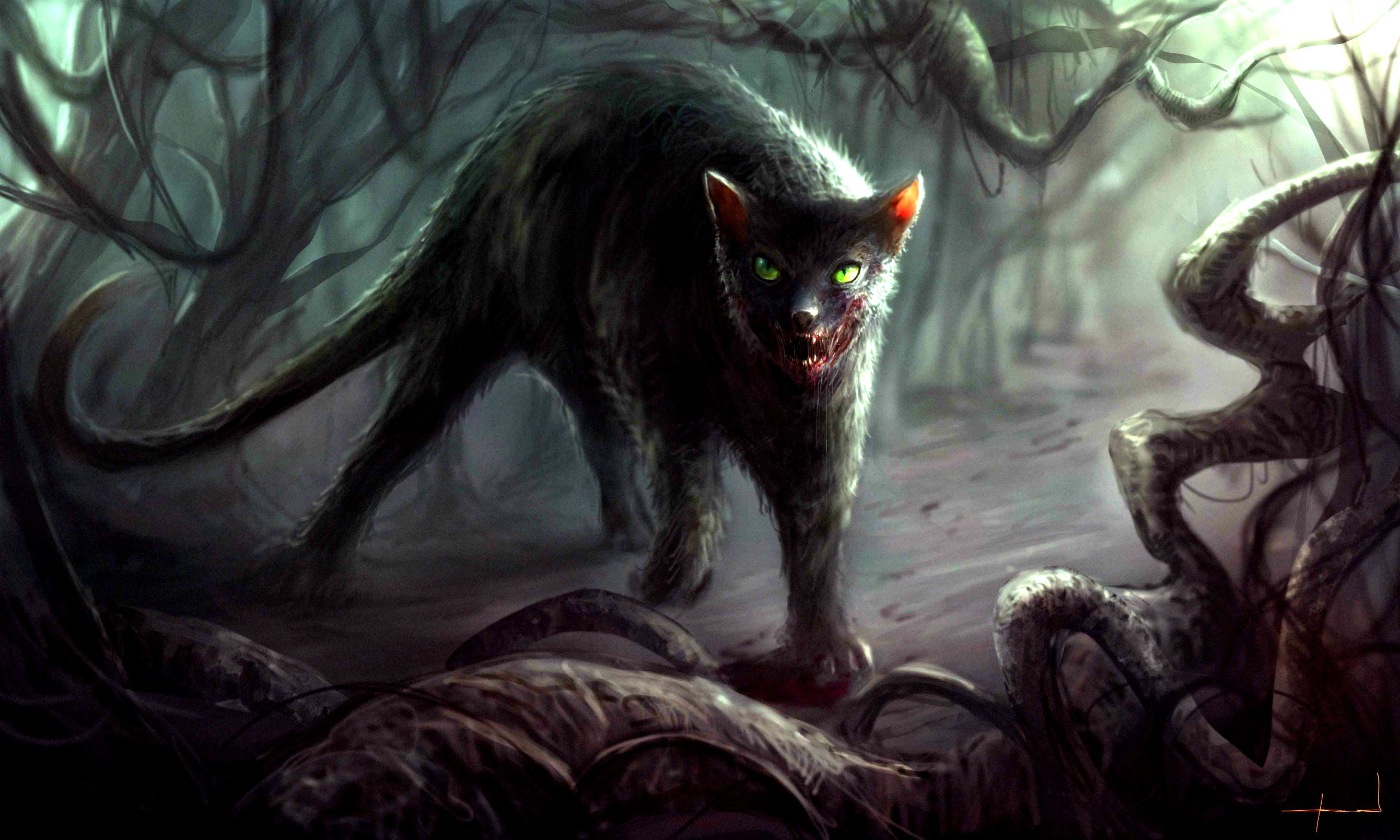 2680x1608, Dark - Scary Cat Background - HD Wallpaper 