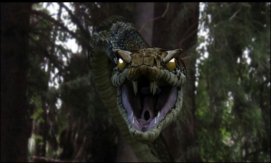 Scary - Scary Snakes - HD Wallpaper 