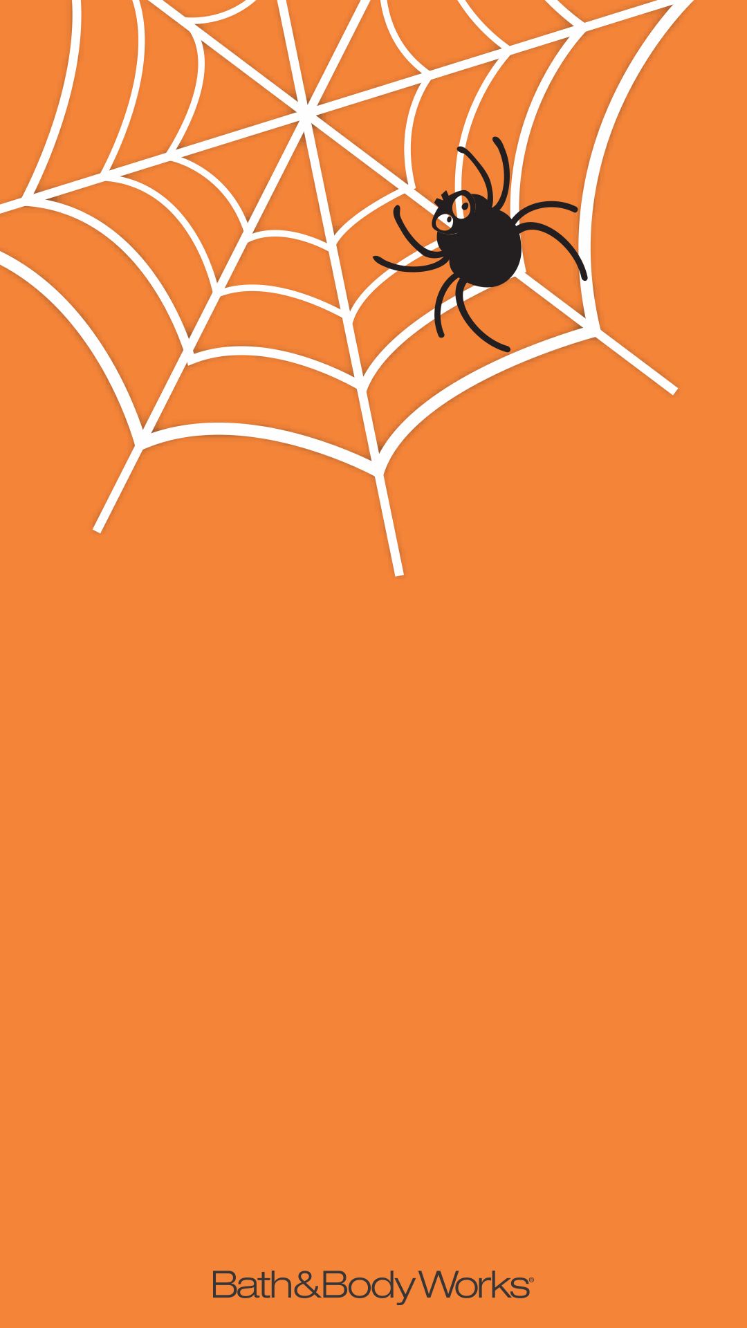Spider Web Halloween Iphone - HD Wallpaper 