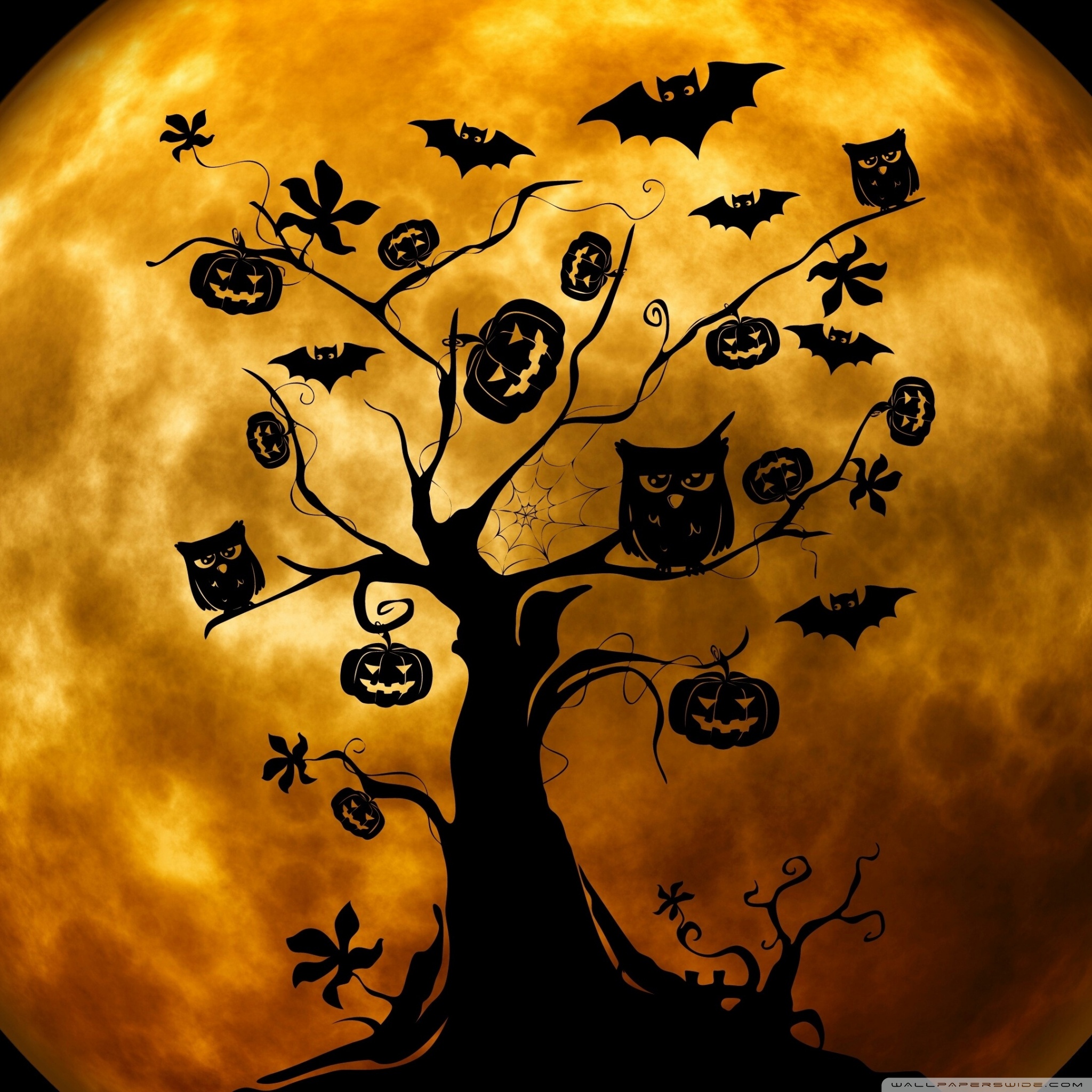 Halloween Owl - HD Wallpaper 