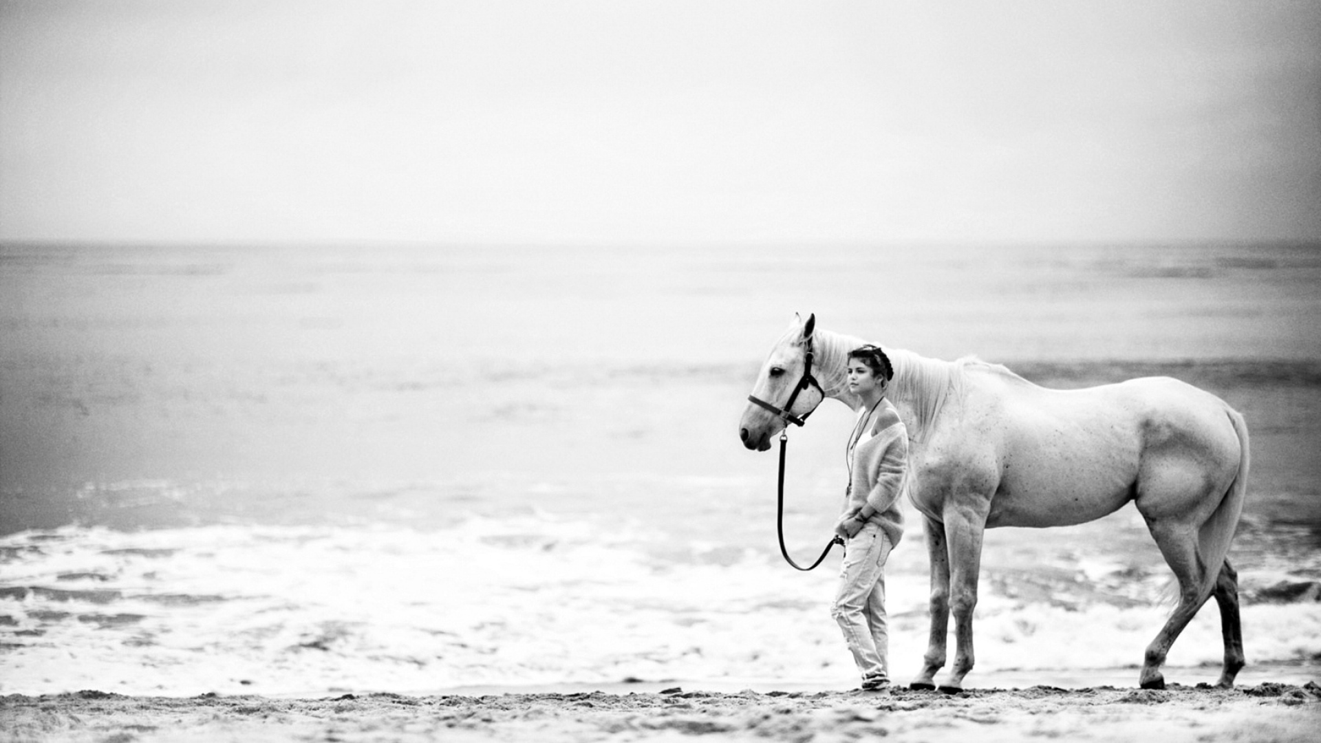 Horses Black And White Background - HD Wallpaper 