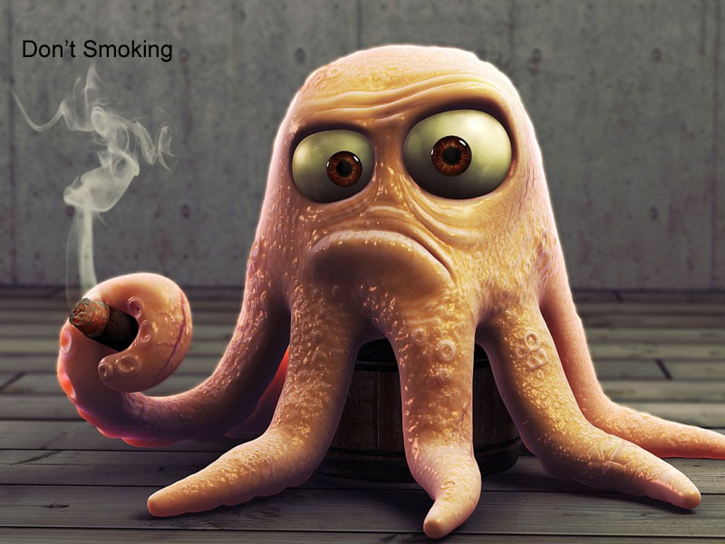 Funny Wallpaper - Funniest Wallpaper In The World - 800x600 Wallpaper - Funny Wallpaper - Funniest Wallpaper In The World - 800x600 Wallpaper -