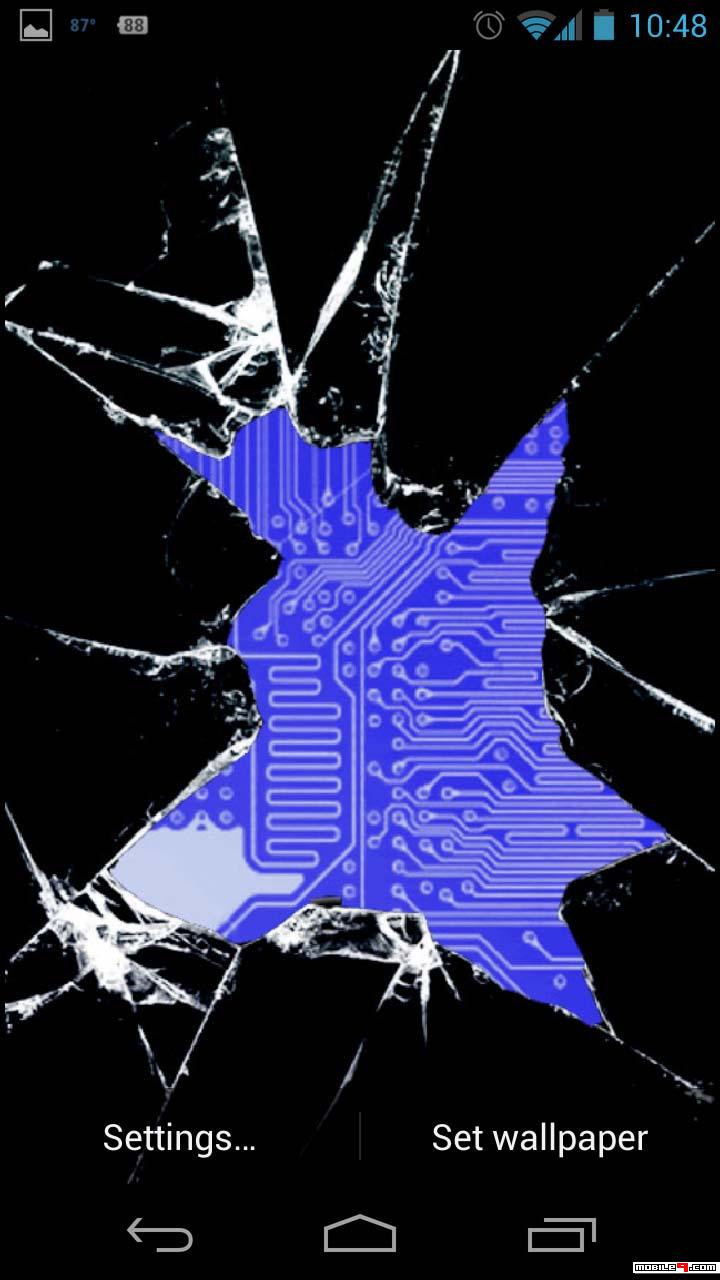 Broken Screen Pedo Bear - HD Wallpaper 