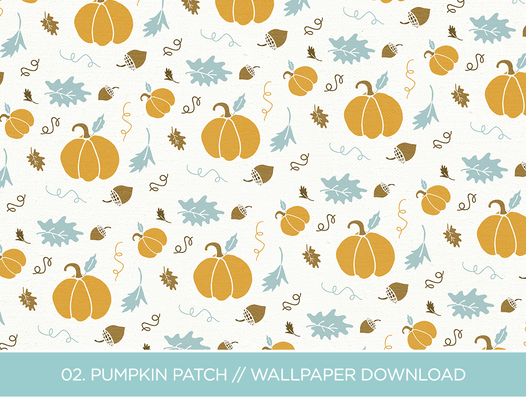 Pumpkin - HD Wallpaper 