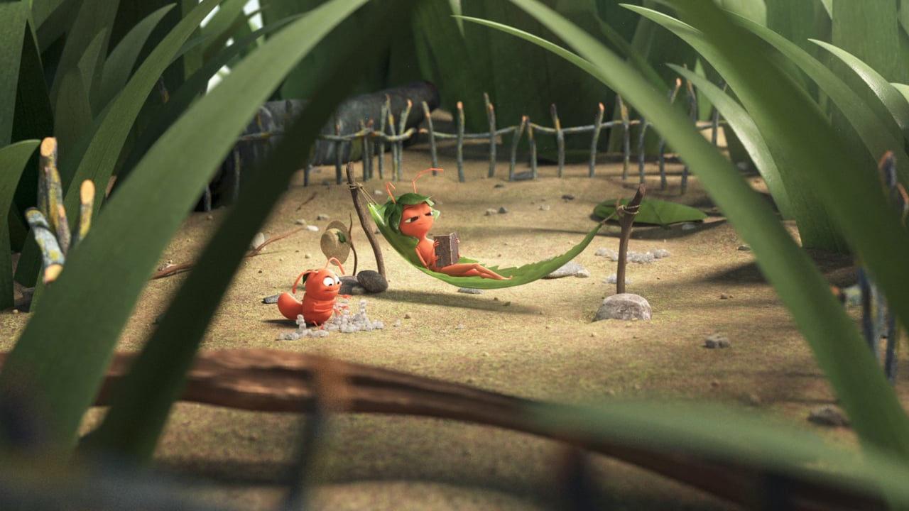 Daily Sugar Off - Daily Sugar Off Hormigas - HD Wallpaper 