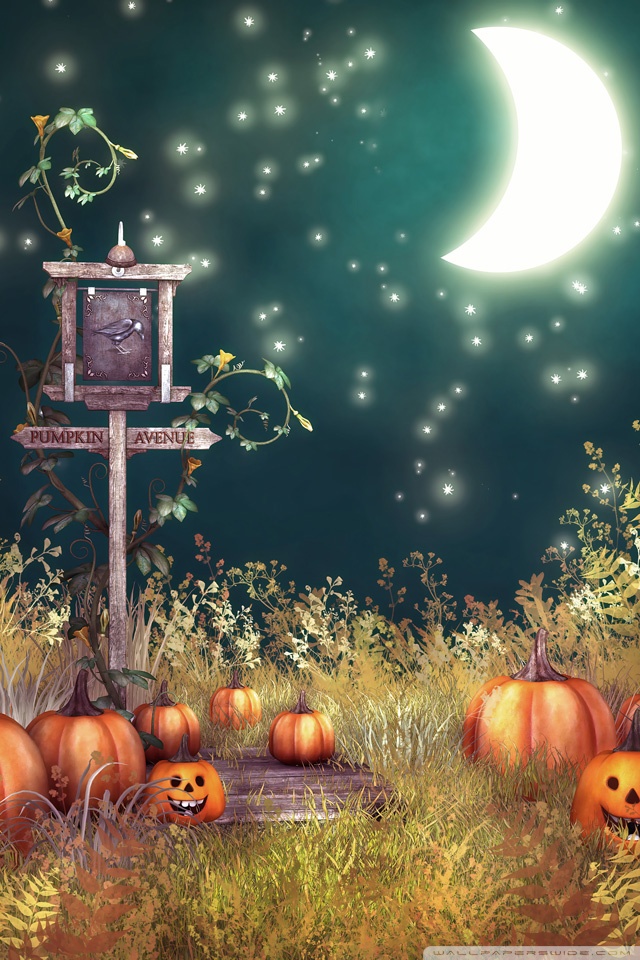 Shoot Halloween Backdrop - HD Wallpaper 