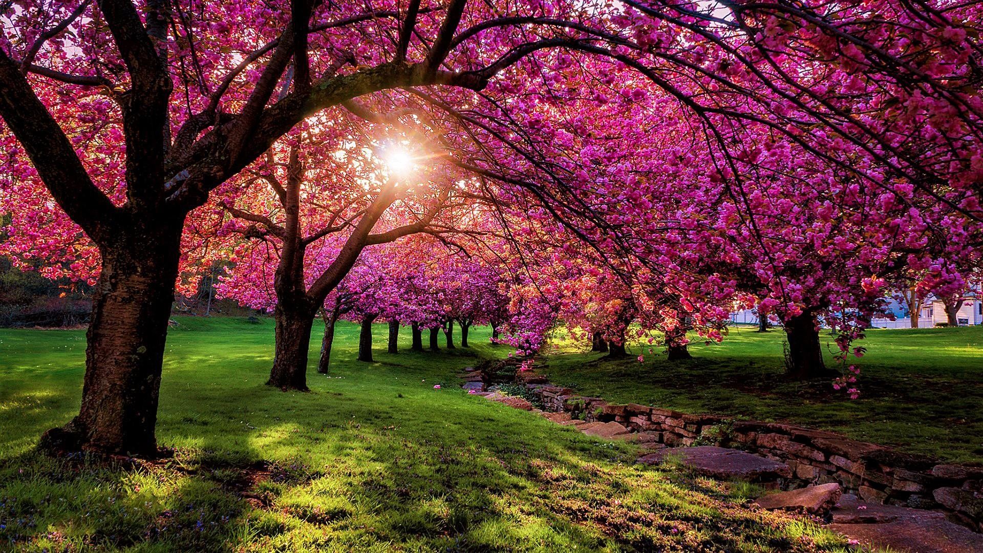 Spring Scenery Wallpaper Hd Wallpaper Bits 
 Data Src - Spring Scenery Wallpaper Desktop - HD Wallpaper 