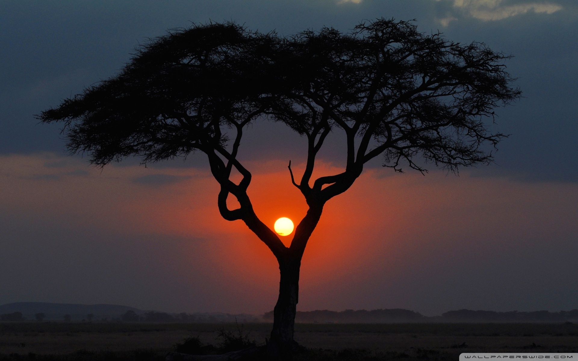 Different Sunset - HD Wallpaper 