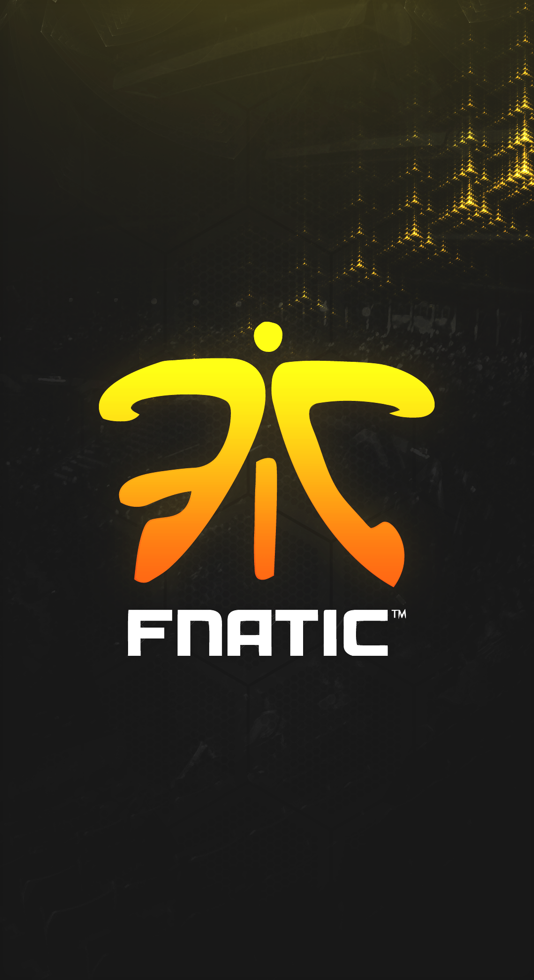 Sk Vs Fnatic - HD Wallpaper 
