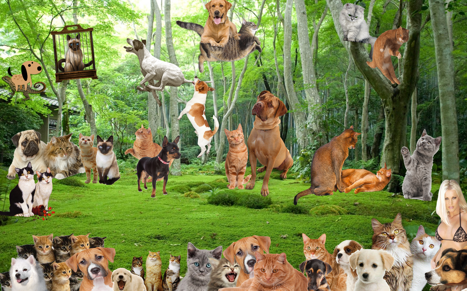 Worst Wallpaper Ever - 1600x1000 Wallpaper Worst Wallpaper Ever - 1600x1000 Wallpaper