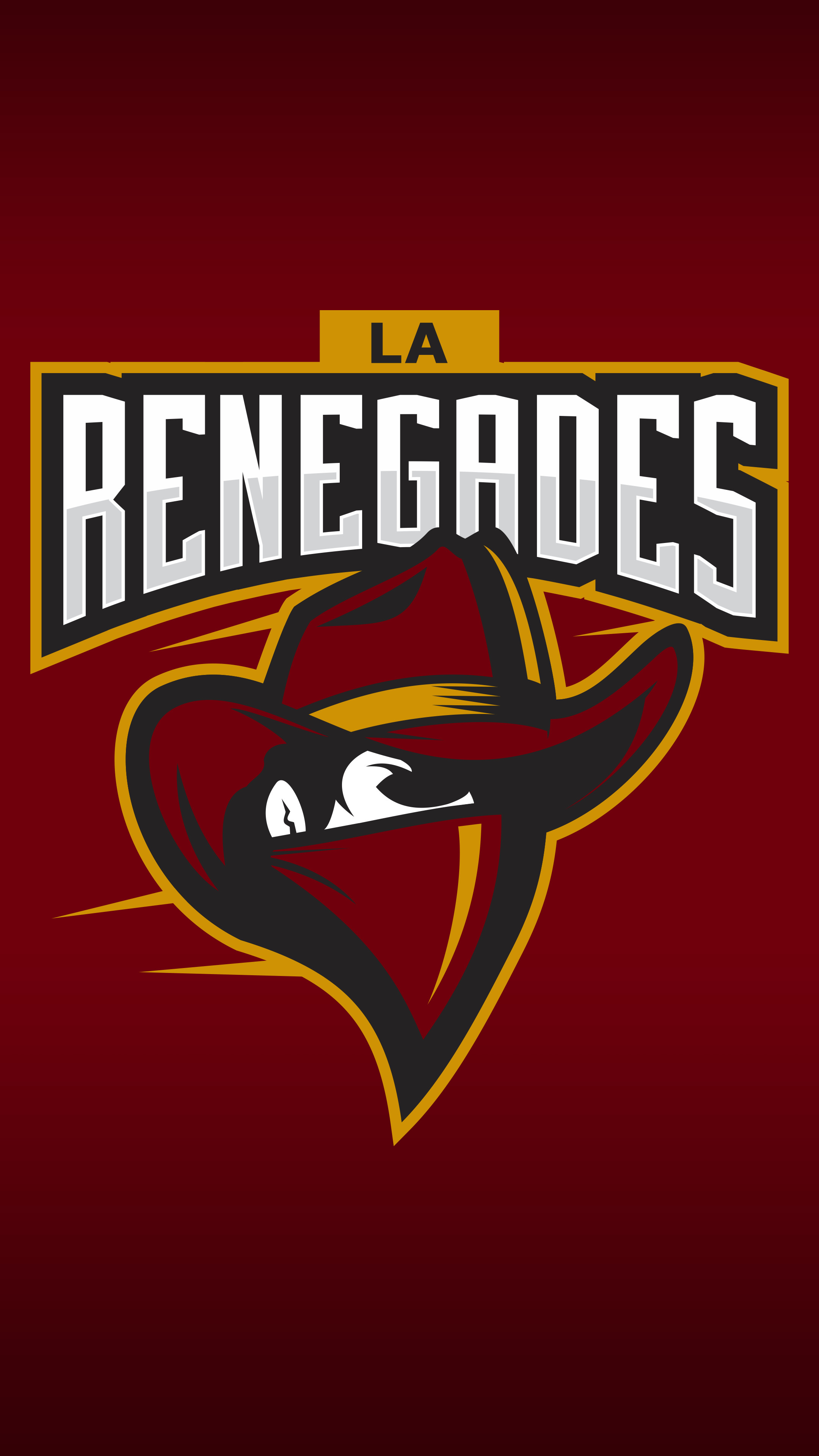 2160x3840, Neat Hd Csgo Phone Wallpaper 
 Data Id 95593 - Renegades Cs Go - HD Wallpaper 