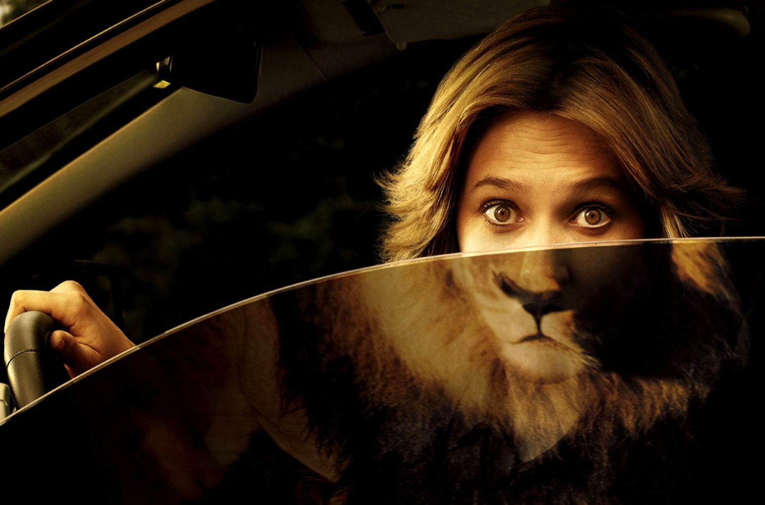 Funny Girl Lion Hd Wallpaper Welcome To Starchop - Very Funny Wallpapers Hd - HD Wallpaper 