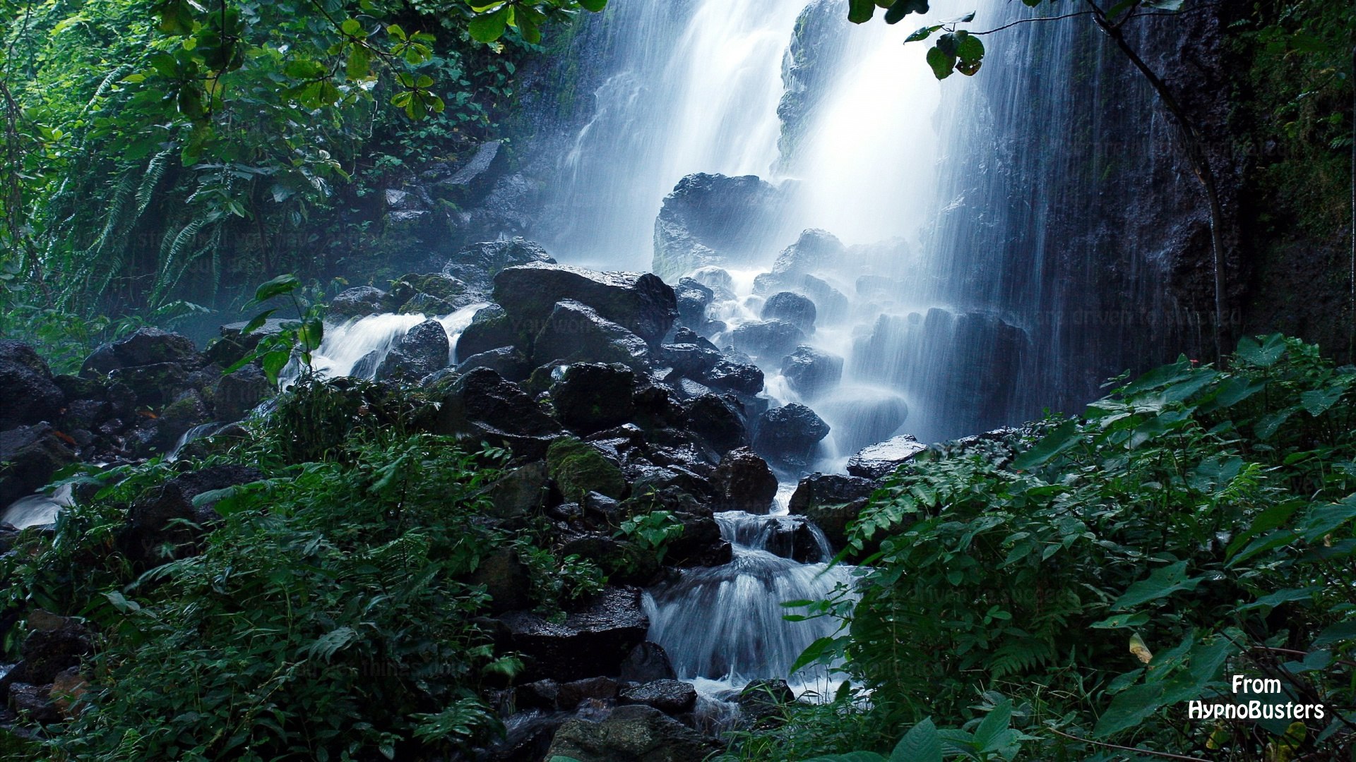 Proverbs 19 Verse 12 - HD Wallpaper 