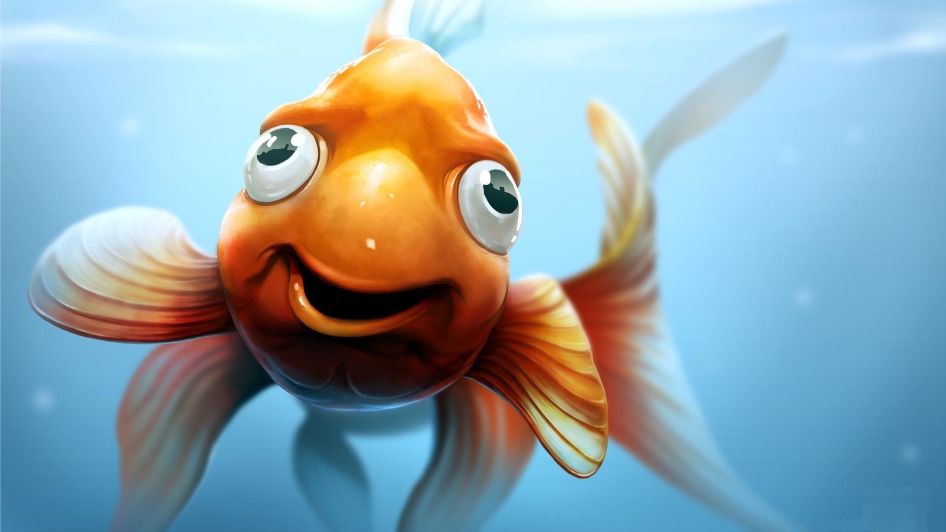 1920x1080, Golden Fish Very Funny Face In Water Wallpapers - Funny Fish - HD Wallpaper 