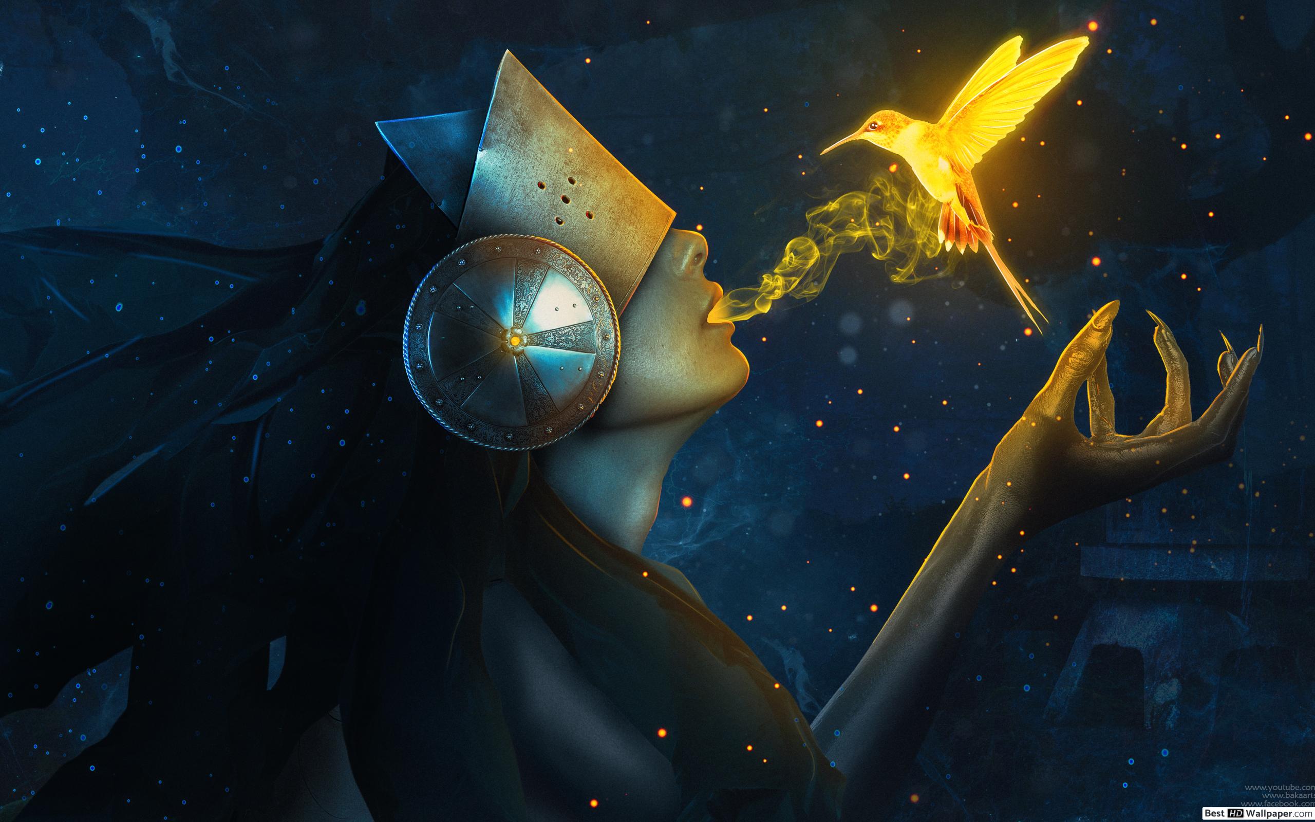 Maiden Life Bird - HD Wallpaper 